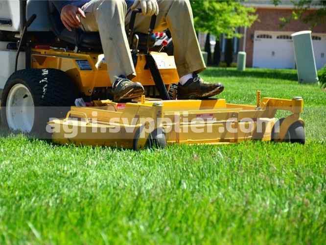 Svpplier - Lawn Fertilization Guide When, How & Best Fertilizer Options